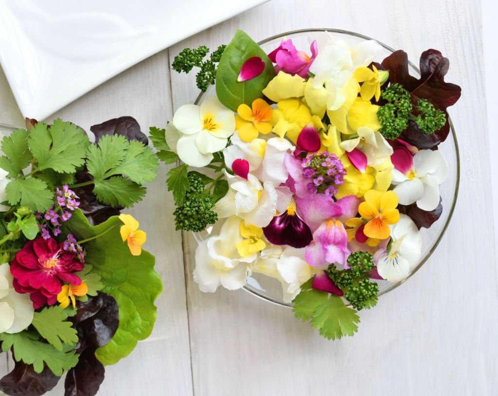 Fleurs comestibles: quand le jardin s'invite dans l'assiette